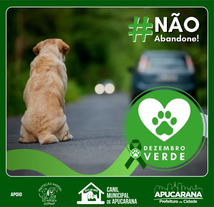 Canil de Apucarana realiza campanha contra o abandono animal 