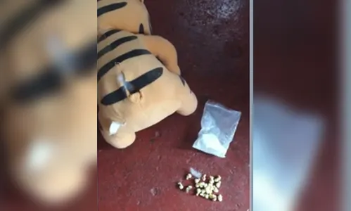 Mulher é presa suspeita de vender cocaína em urso de pelúcia, em Maringá