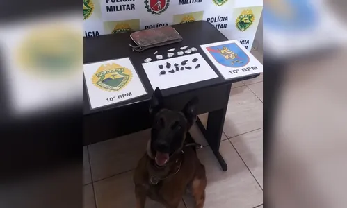 PM de Cambira cumpre mandados de busca e apreensão; quatro pessoas foram presas