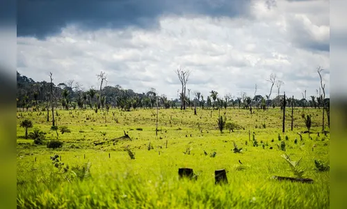 Ações da AGU cobram R$ 555,3 milhões de infratores ambientais