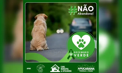 Canil de Apucarana realiza campanha contra o abandono animal 