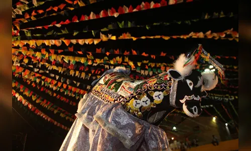 Bumba Meu Boi pode se tornar patrimônio imaterial da humanidade