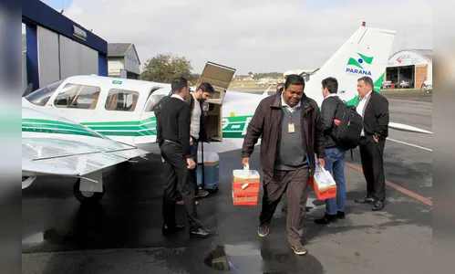 Paraná registra recorde de doações de órgãos para transplante