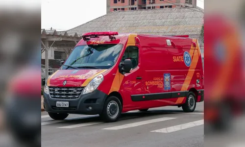 Bombeiros de Apucarana são chamados para atender ataque de abelhas