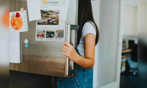 Geladeira pode representar até metade da conta de luz