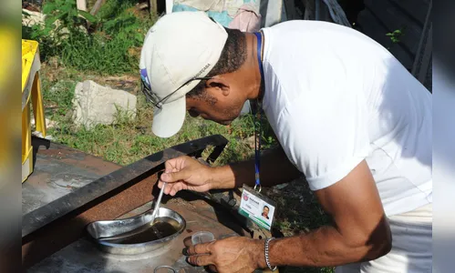 Paraná tem 2.631 casos de dengue e 10 municípios em epidemia