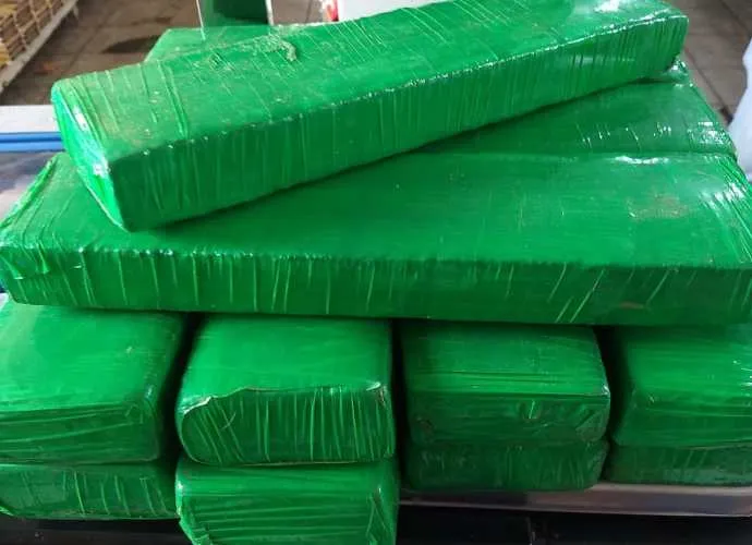 PM de Arapongas apreende 15 Kg de maconha 