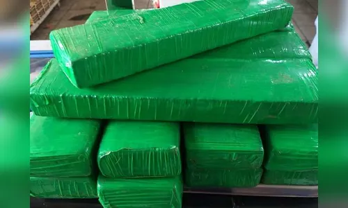 PM de Arapongas apreende 15 Kg de maconha 