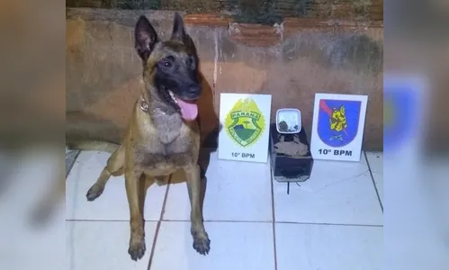 Homem é preso suspeito de tráfico de drogas em Apucarana 