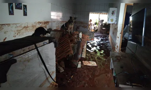 Força da chuva derruba muro e lama invade casa; duas pessoas ficaram feridas