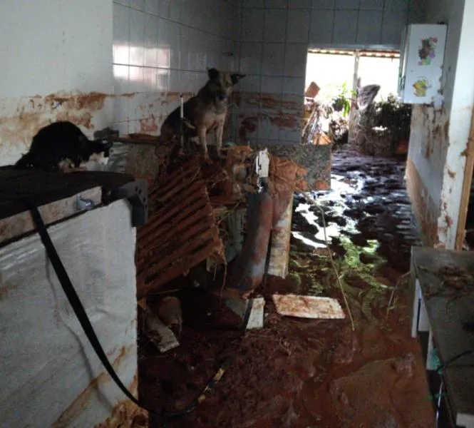 Moradora da casa que foi inundada em Apucarana fala sobre o susto que viveu; veja vídeo