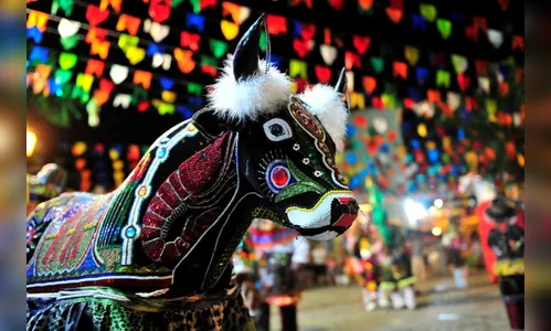 Bumba Meu Boi do Maranhão se torna Patrimônio Imaterial da Humanidade