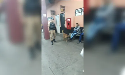 
							PM utiliza cão farejador em patrulhamentos da Operação Natal em Apucarana
						
						