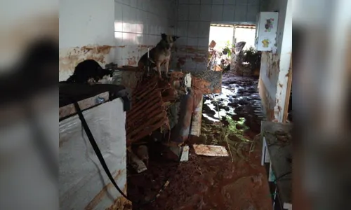 Moradora da casa que foi inundada em Apucarana fala sobre o susto que viveu; veja vídeo