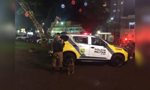 
							PM utiliza cão farejador em patrulhamentos da Operação Natal em Apucarana
						
						