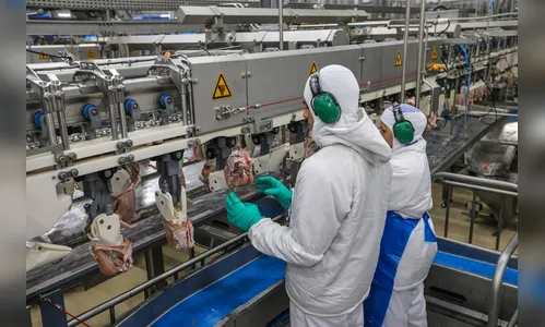 Produção industrial de alimentos cresce 8,9% no ano no Paraná