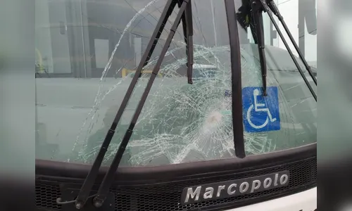 Mulher morre atropelada por ônibus ao tentar atravessar BR-376