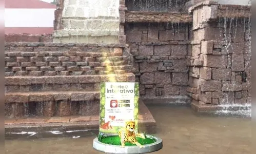 Onça da cascata também ganha aplicativo em Apucarana