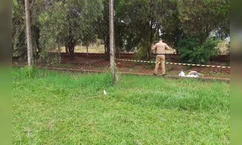 Corpo de homem com o rosto desfigurado é encontrado em Paiçandu