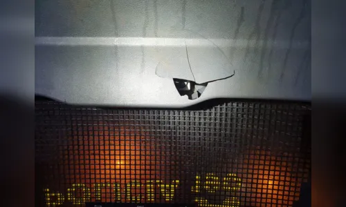 
							Homem é preso por furtar loja no centro de Apucarana
						
						