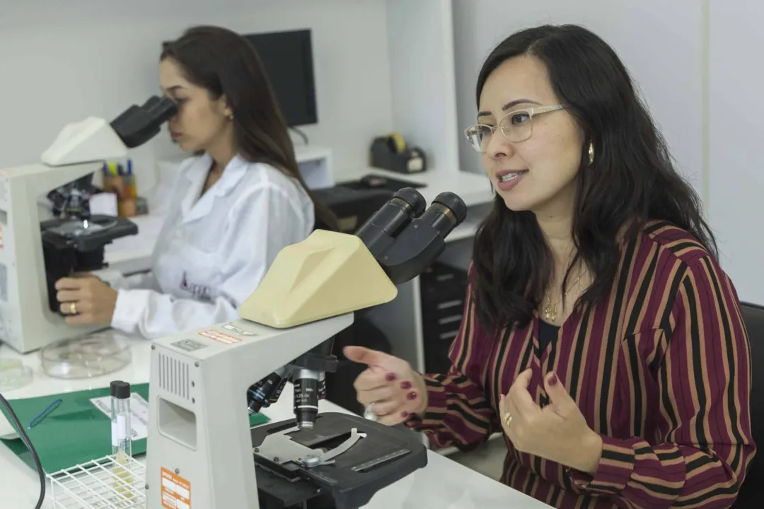 Universidade desenvolve teste rápido e seguro contra dengue