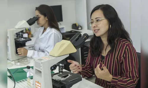 Universidade desenvolve teste rápido e seguro contra dengue