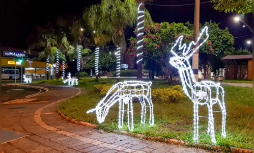 
							Árvore de Natal da Prefeitura de Rio Claro vira meme na internet
						
						