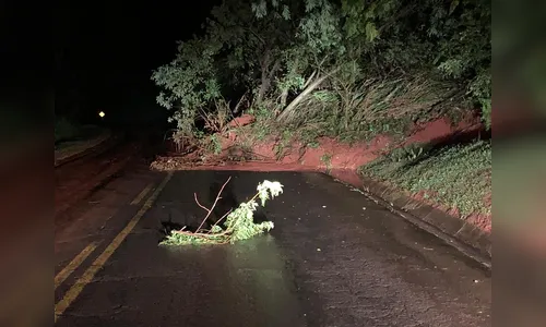 Desmoronamento de terra bloqueia rodovia PR-546