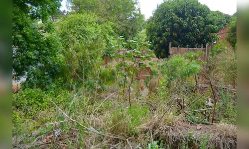 Jandaia do Sul alerta proprietários de terrenos