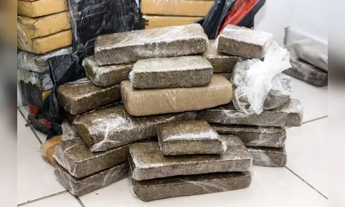 Polícias do Paraná apreendem 107 toneladas de drogas de janeiro a setembro