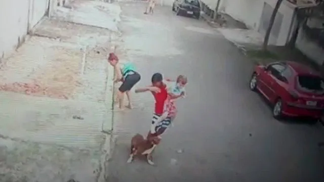 Jovem salva criança de ataque de pitbull no Rio de Janeiro; assista ao vídeo