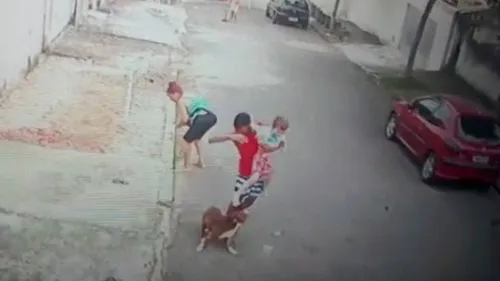 Jovem salva criança de ataque de pitbull no Rio de Janeiro; assista ao vídeo