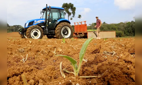 Programa garantiu economia de R$ 17 milhões a agricultores
