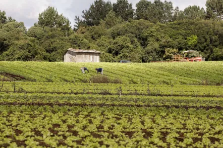 Emendas parlamentares garantem R$ 154 milhões à agricultura familiar