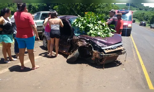 Jovem sofre ferimentos após acidente na PR-466 em Lidianópolis 