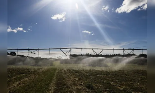 Termina hoje prazo para produtores aderirem ao Refis Rural