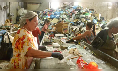 Cocap fecha ano ‘no azul’ e divide lucros pela primeira vez na história