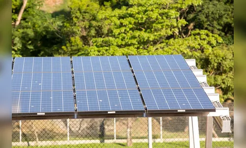 Bolsonaro: decisão sobre taxação de energia solar cabe à Aneel