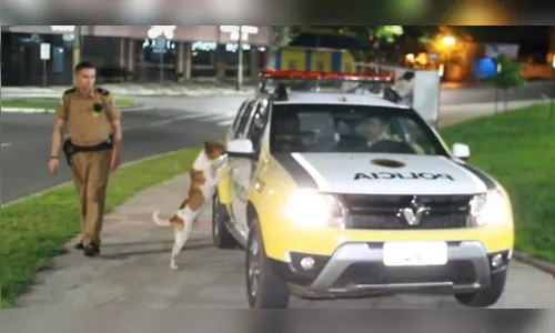 Cachorro se desespera ao ver seu dono ir preso, em Umuarama