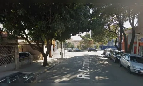 Gari é encontrado morto preso em fiação elétrica em árvore na Lapa