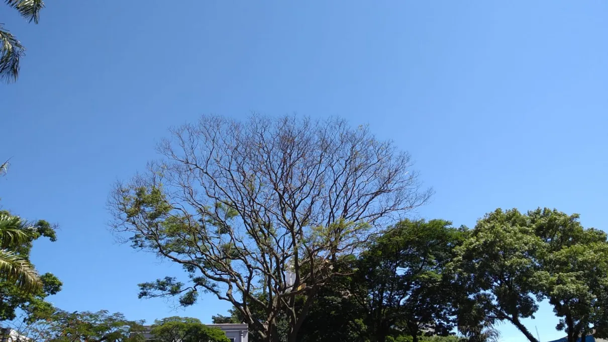 Simepar prevê calor e chuvas isoladas  em Apucarana e região