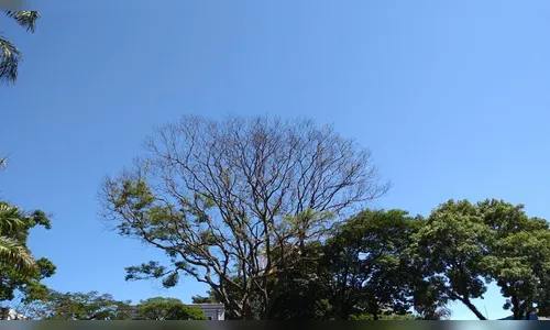 Quinta-feira deve ser de tempo estável em Apucarana e região