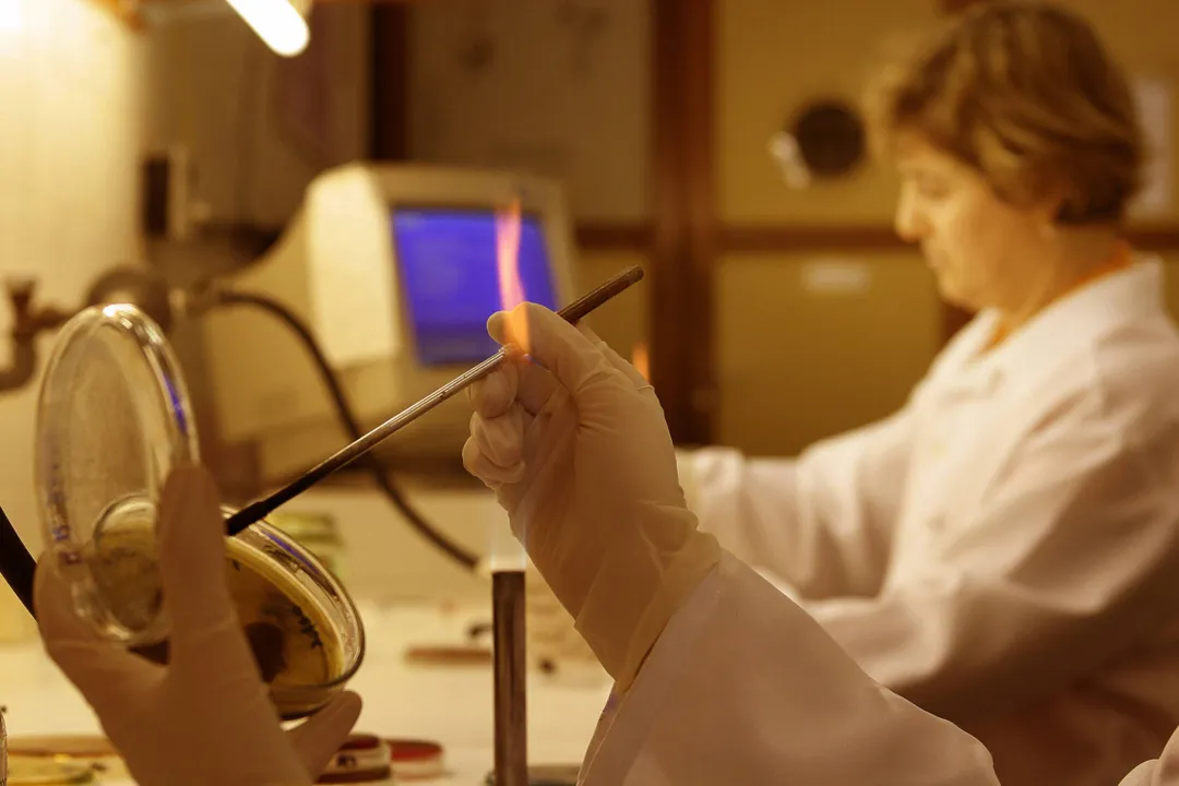 UEM é a primeira no Brasil e segunda no mundo com mais cientistas mulheres