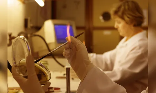 UEM é a primeira no Brasil e segunda no mundo com mais cientistas mulheres