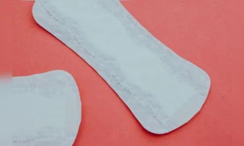 Escolas municipais podem ser obrigadas a fornecer absorventes às alunas