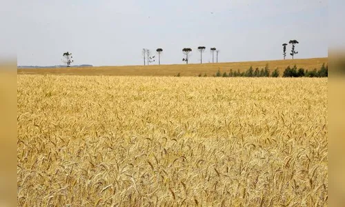 PIB do Paraná cresce e consolida tendência de recuperação