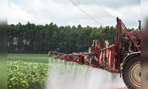 Clima traz otimismo para produtores de soja da região de Ivaiporã