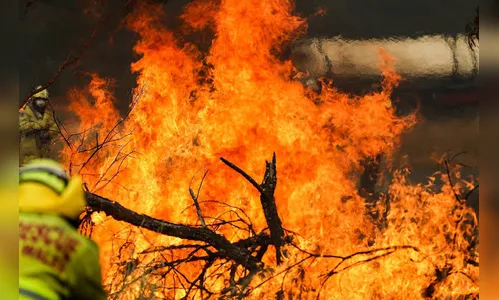 Fogo na Austrália e na Amazônia tem causas diferentes