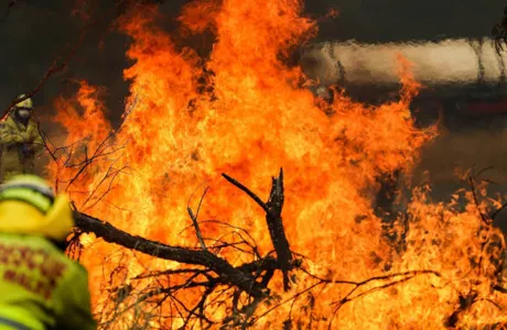 Fogo na Austrália e na Amazônia tem causas diferentes