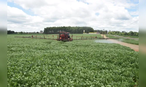 
							Clima traz otimismo para produtores de soja da região de Ivaiporã
						
						